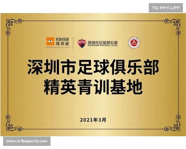 足球俱乐部球员出售管理方案的优化与实施策略探讨